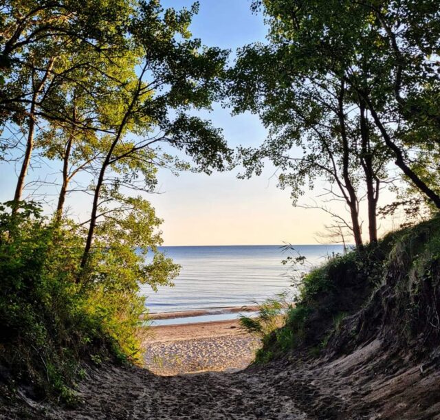 FB_IMG_1709827352339