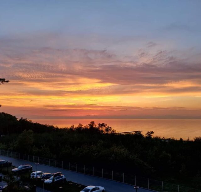 FB_IMG_1709827566523