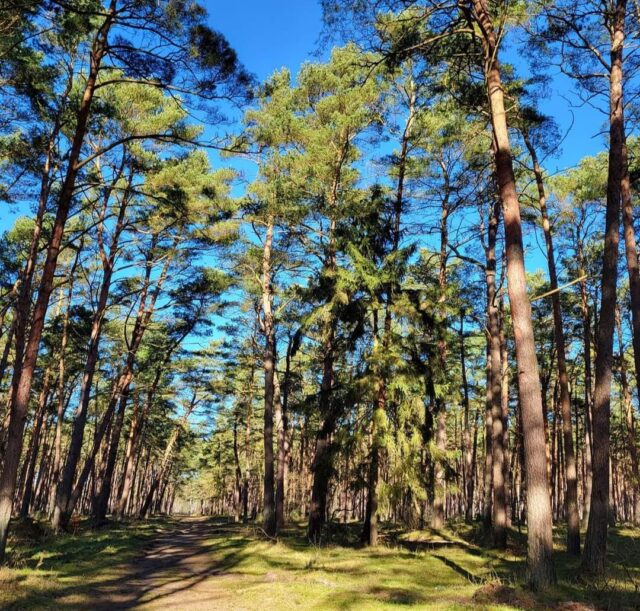 Screenshot_20240307_172523_Facebook