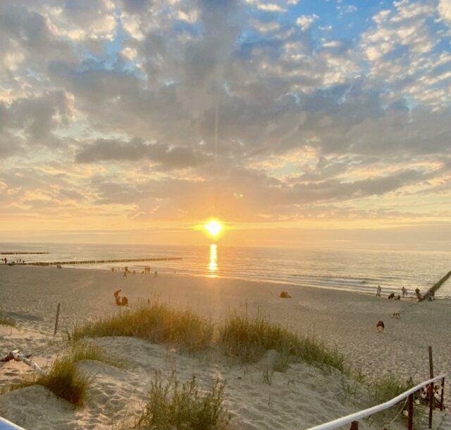 A3543423-6B39-4708-A798-1F573F1FA1F6