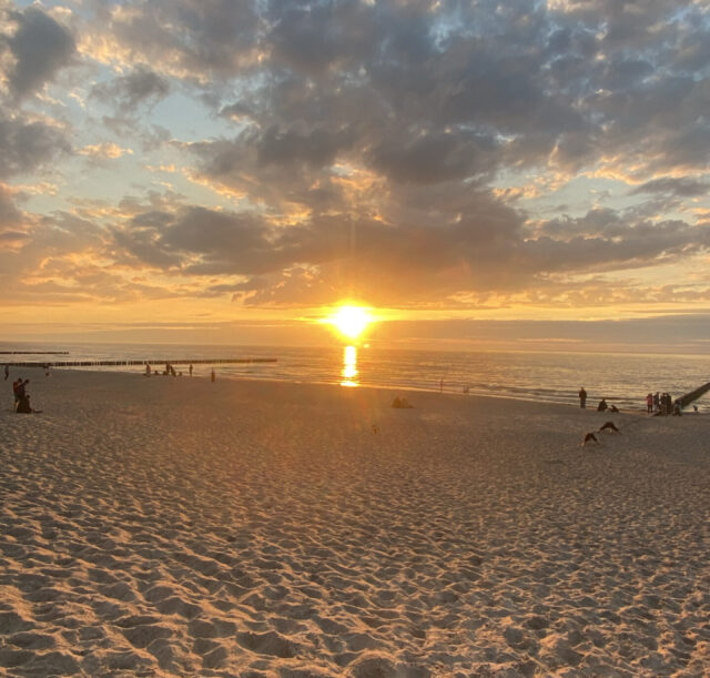 D85CA046-F6A7-47A6-8EE0-03EA2B79A76B